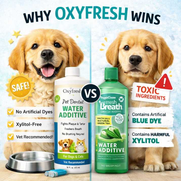 Dog-for-oxifreash