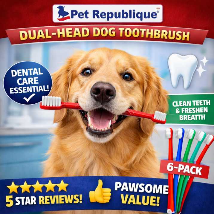 dental-care-essentials