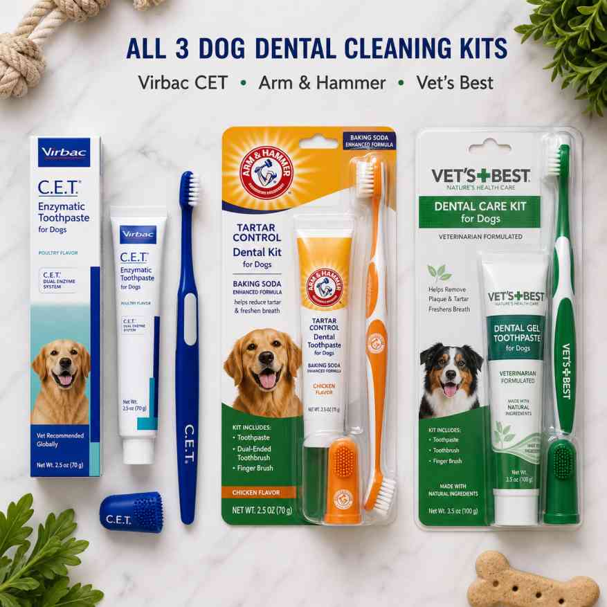 Three best dog dental cleaning kits 2026 — Virbac CET Oral Hygiene Kit, Arm Hammer, Vets Best comparison