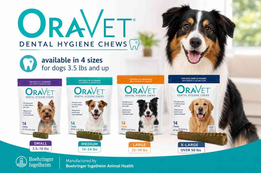 OraVet Dental Hygiene Chews for dogs — all four sizes XS Small Medium Large on white background