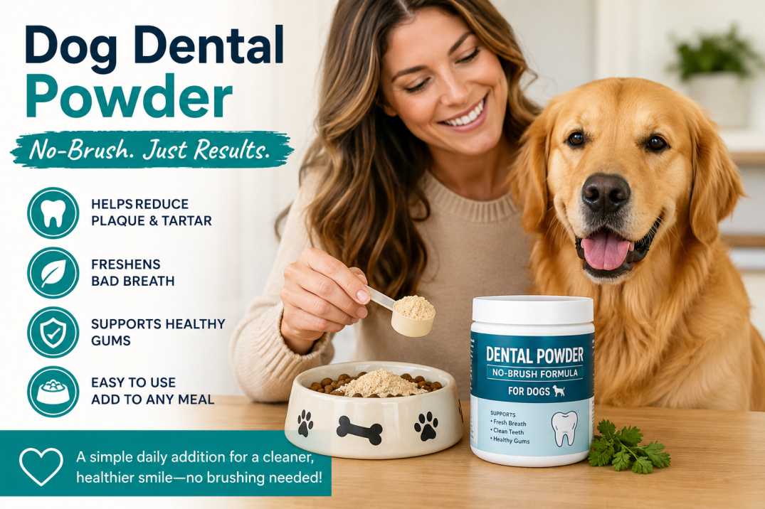 Dog dental powder
